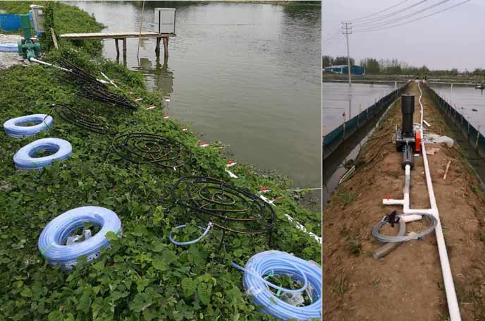 水产养殖罗茨草莓视频破解视频免费观看安卓