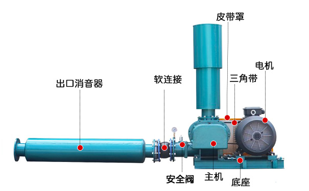 三叶罗茨鼓草莓视频破解视频免费观看安卓(图3)