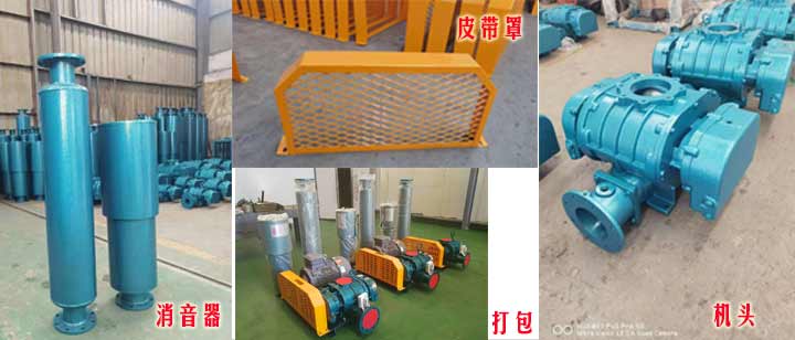 三叶罗茨草莓视频破解视频免费观看安卓（皮带型）实拍