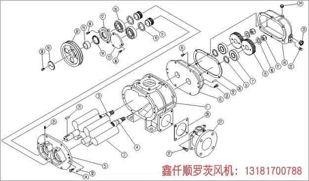 三叶罗茨鼓草莓视频破解视频免费观看安卓安装示意图